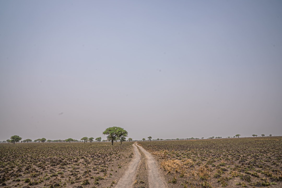 Travel Stories 1