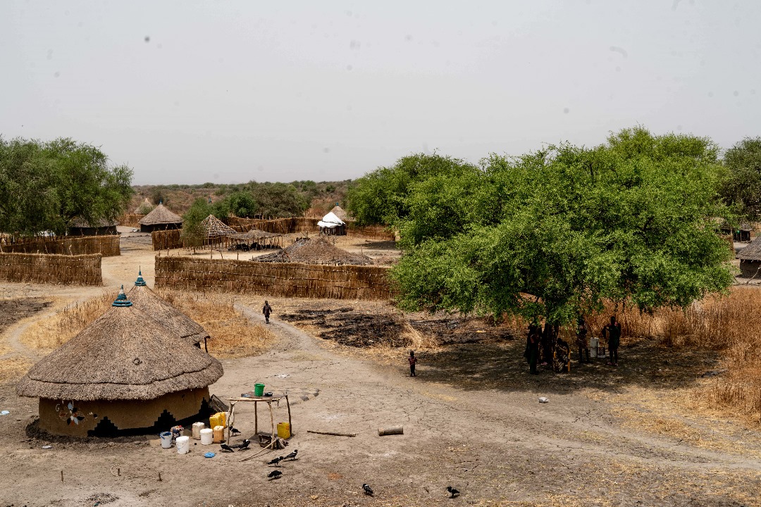 Travel Stories 12